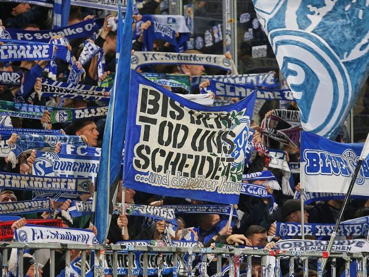 Fans von Schalke 04 (Archiv)