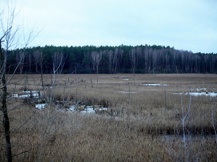 Moorlandschaft (Archiv)