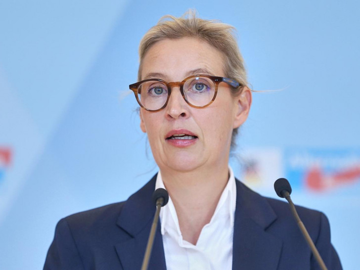 Alice Weidel am 02.12.2025