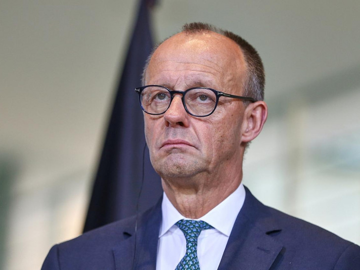 Friedrich Merz (Archiv)