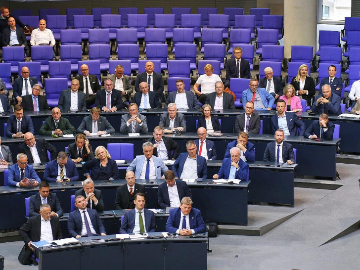 AfD-Fraktion (Archiv)