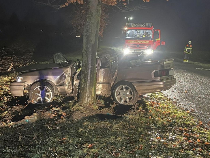 Ford am Baum (Archiv)