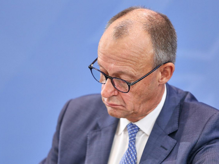 Friedrich Merz (Archiv)