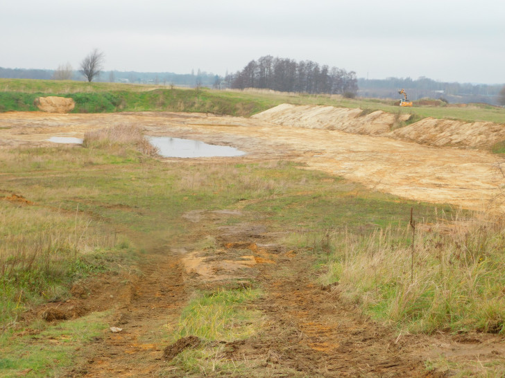 Die Flächen werden mit einem Bagger offengemacht – das verbessert den Lebensraum für Amphibien, etwa den seltenen Kreuz- und Knoblauchkröten. 