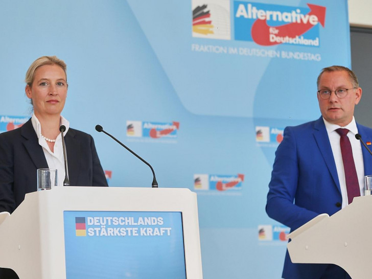 Alice Weidel und Tino Chrupalla (Archiv)