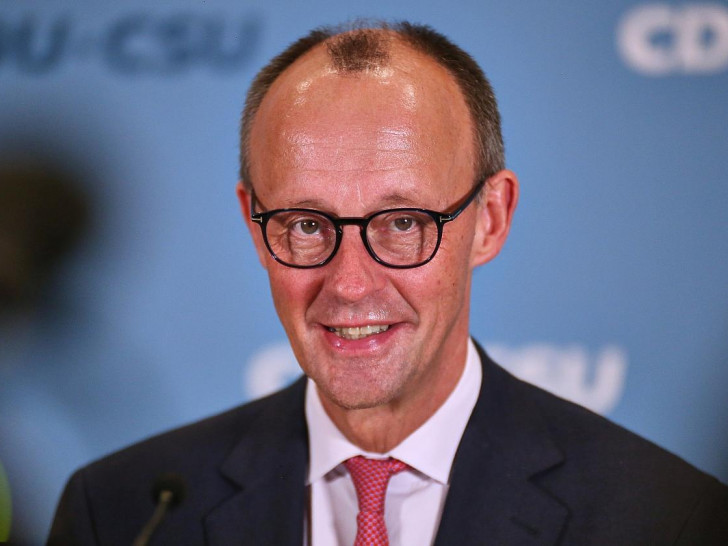 Friedrich Merz am 31.01.2025