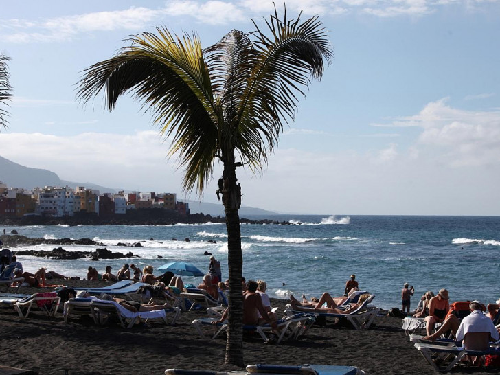 Palme an einem Strand (Archiv)