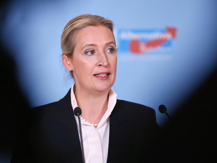 Alice Weidel (Archiv)