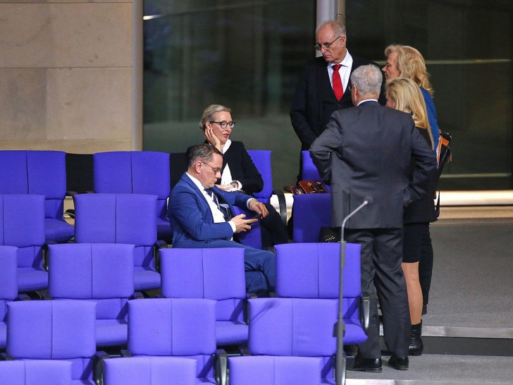 AfD-Abgeordnete im Bundestag am 31.01.2025