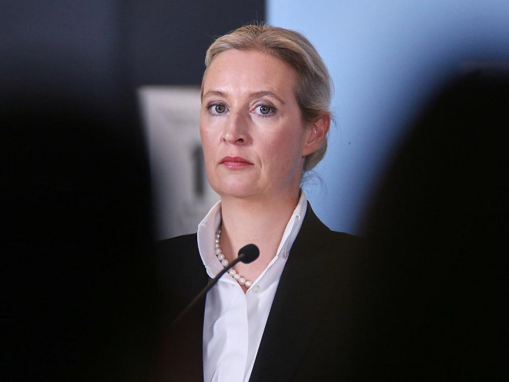 Alice Weidel (Archiv)