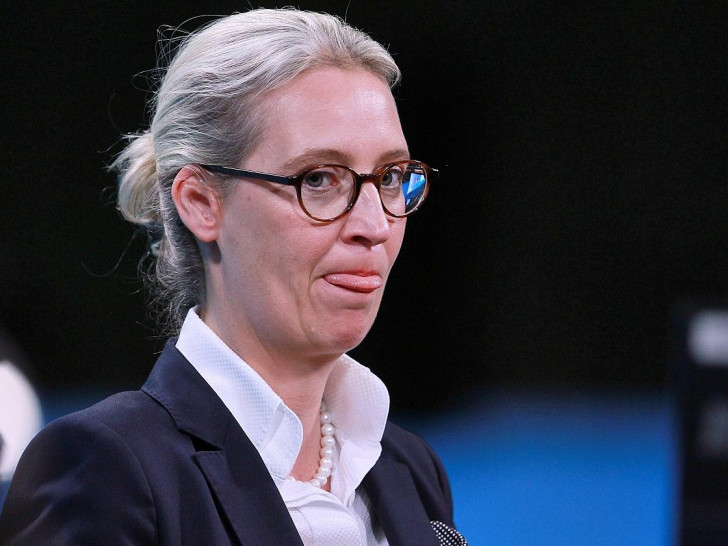 Alice Weidel (Archiv)