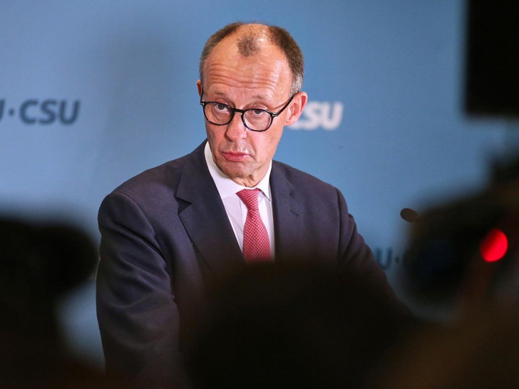 Friedrich Merz am 31.01.2025