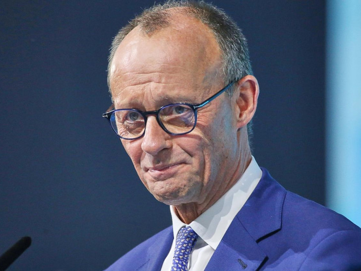 Friedrich Merz (Archiv)