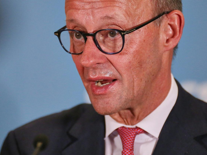 Friedrich Merz am 31.01.2025