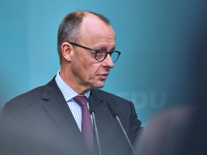 Friedrich Merz (Archiv)