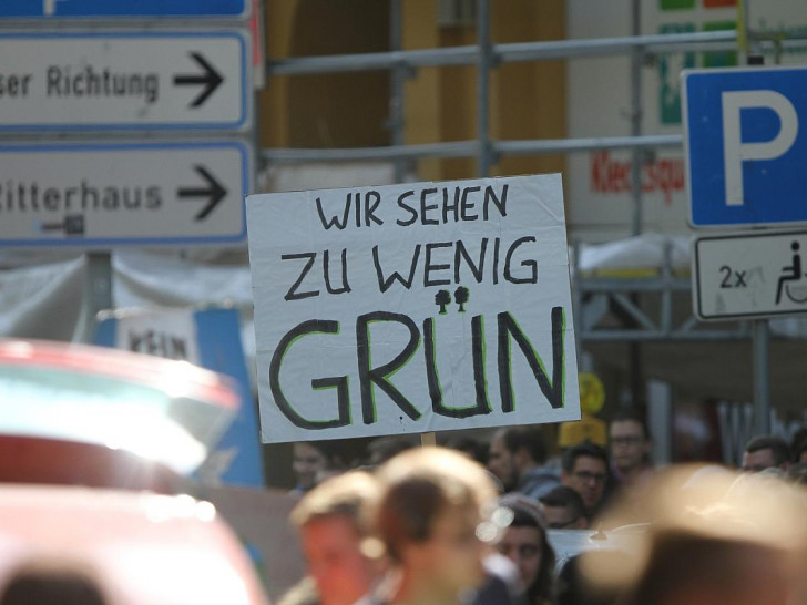 Protest von Fridays-For-Future (Archiv)