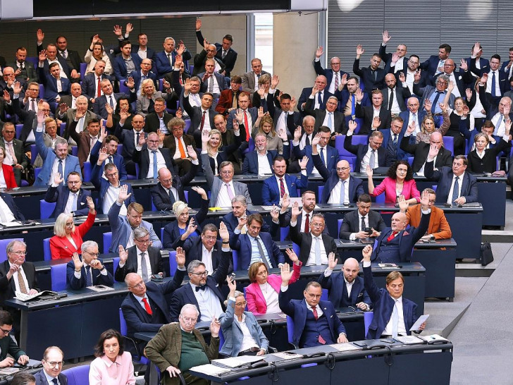 AfD-Bundestagsfraktion (Archiv)