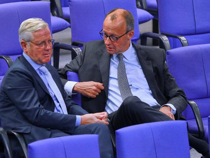 Norbert Röttgen und Friedrich Merz (Archiv)