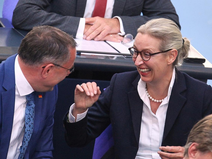 Tino Chrupalla und Alice Weidel (Archiv)