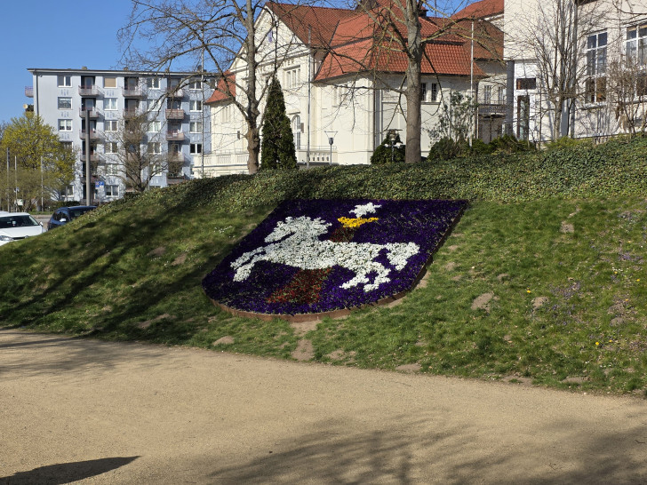 Wie soll es weitergehen mit Wolfenbüttels Grünflächen (Symbolbild)?