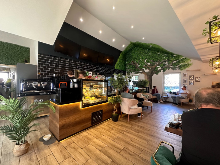 Vor knapp zwei Wochen hat in der Wolfenbütteler Innenstadt ein in der Region einzigartiges Café eröffnet: das Café Katzenwald.