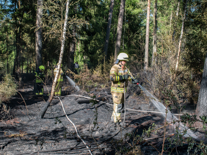 Am Montagnachmittag kam es zu einem Waldbrand.