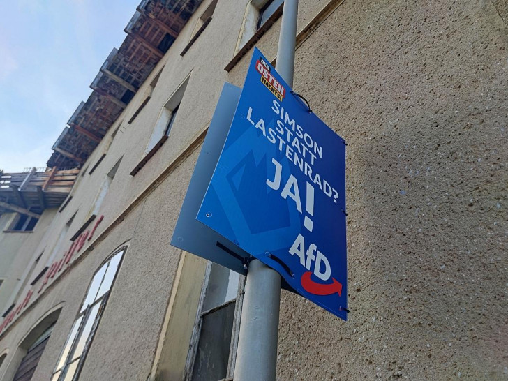 AfD-Wahlplakat zur Landtagswahl in Thüringen (Archiv)