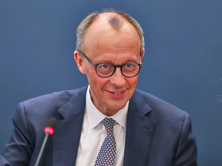 Friedrich Merz (Archiv)
