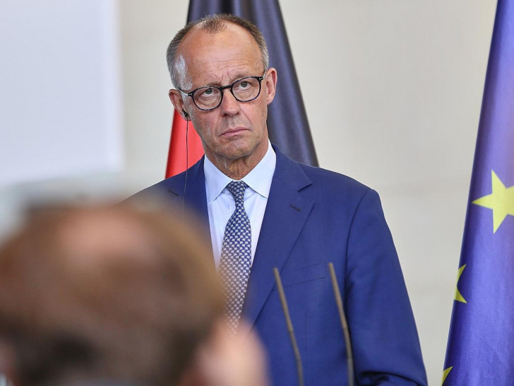 Friedrich Merz (Archiv)