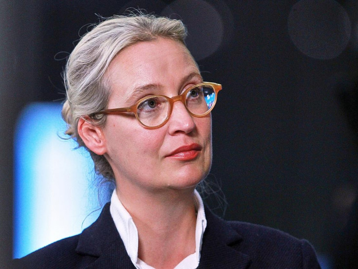 Alice Weidel (Archiv)