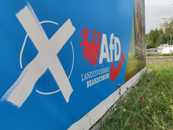 AfD-Wahlplakat zur Landtagswahl in Brandenburg (Archiv)
