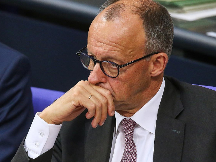Friedrich Merz (Archiv)
