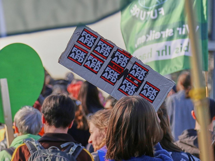 Protest gegen die AfD (Archiv)