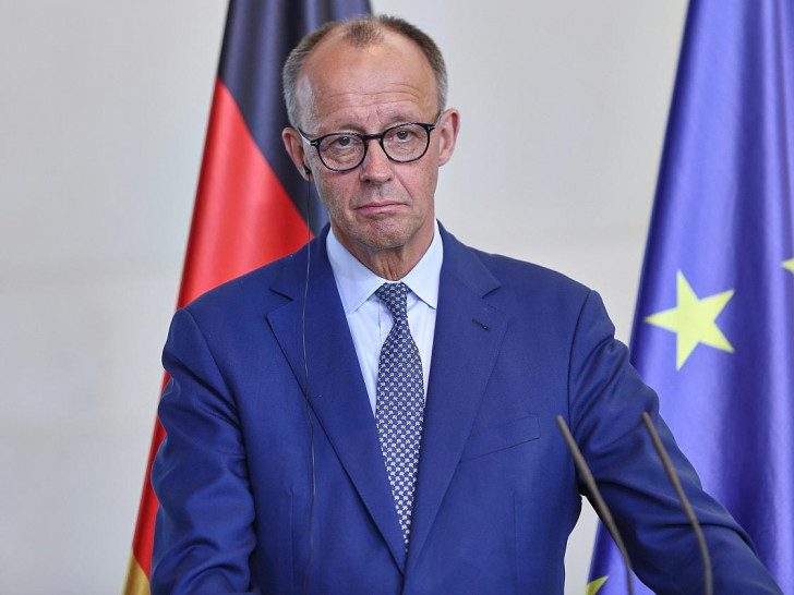 Friedrich Merz (Archiv)