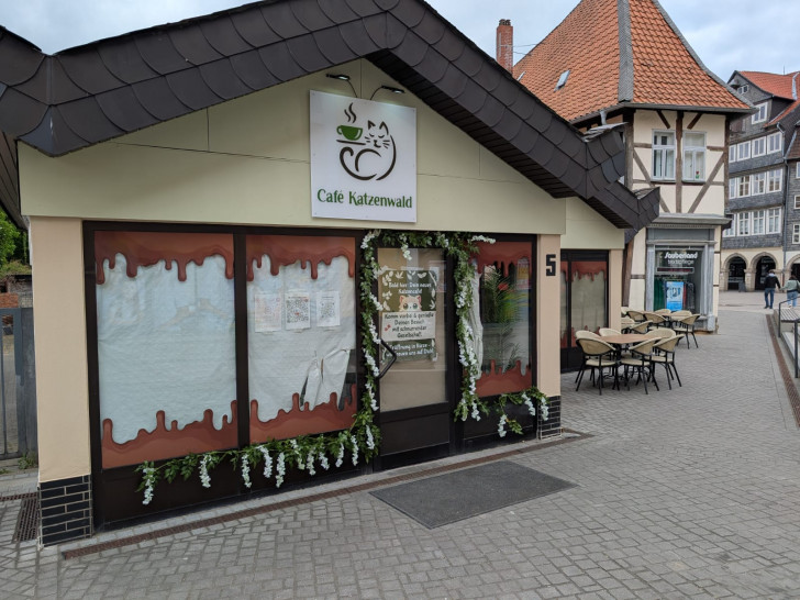 Morgen soll das Café Katzenwald in der Löwenstraße öffnen. 