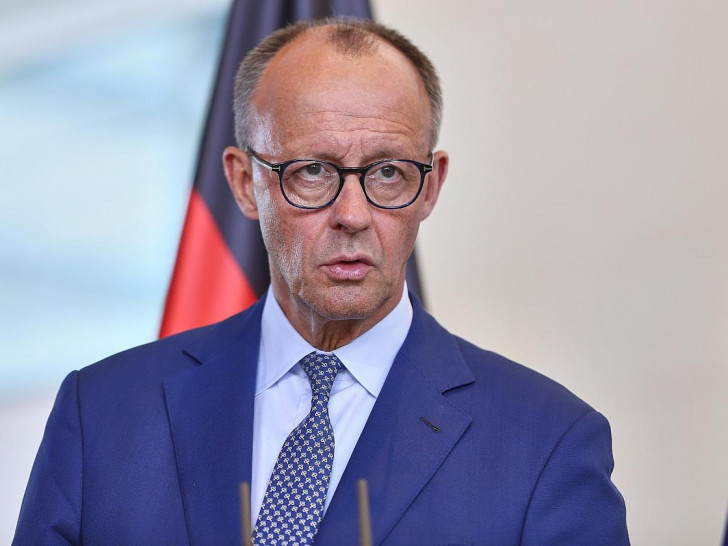 Friedrich Merz (Archiv)