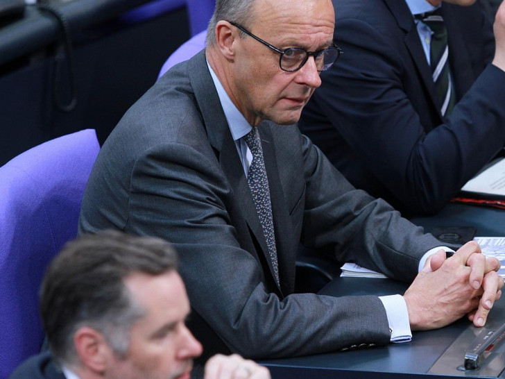 Friedrich Merz und Christian Dürr im letzten Bundestag (Archiv)