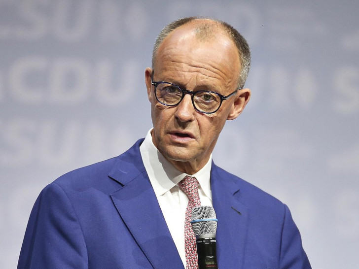 Friedrich Merz (Archiv)