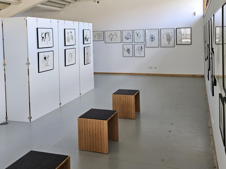 Die Sonderausstellung von Peter Tuma im Eulenspiegelmuseum Schöppenstedt neigt sich dem Ende zu.