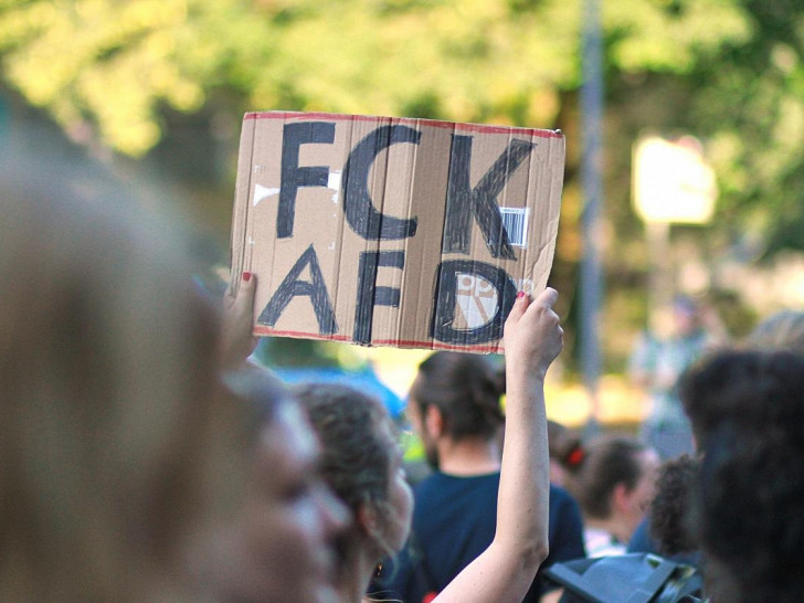Protest gegen die AfD (Archiv)