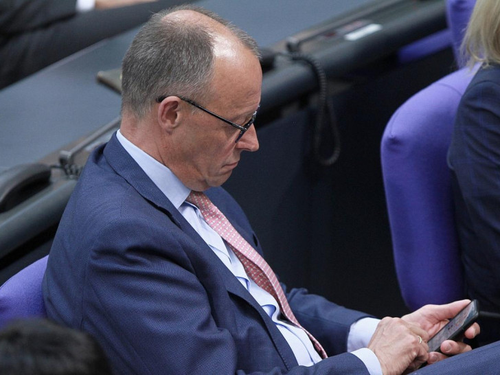Friedrich Merz (Archiv)