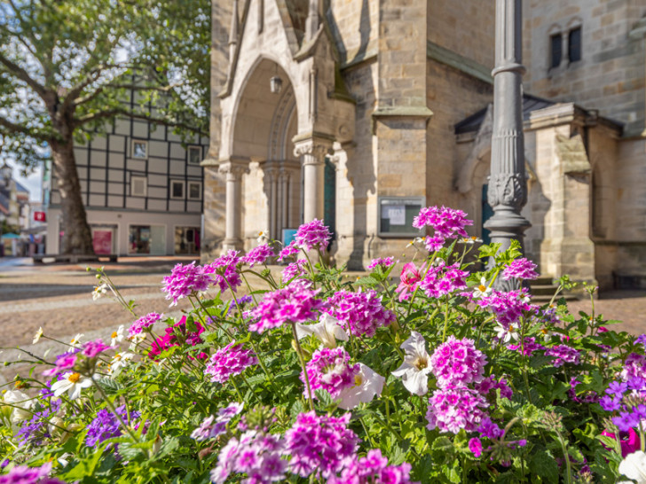 Das Förderprojekt erhöht mit Blumeninseln die Aufenthaltsqualität in der Peiner Innenstadt.