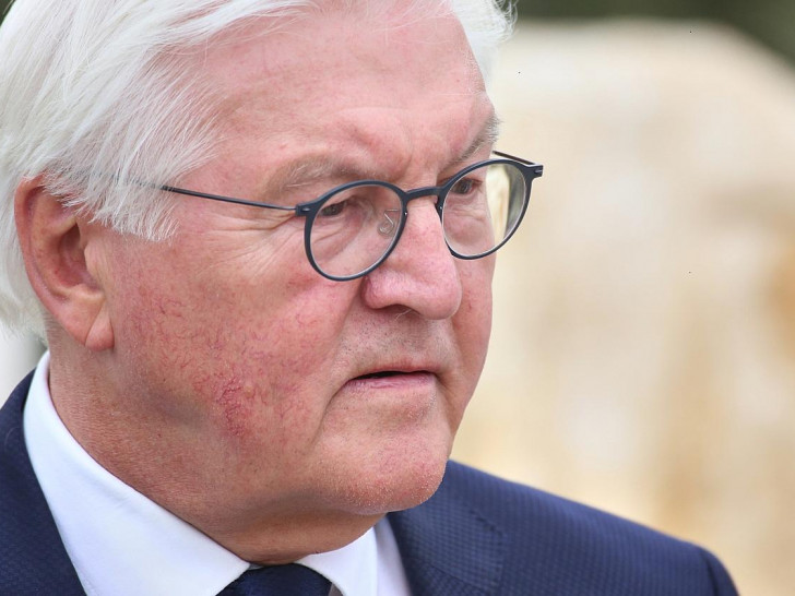 Frank-Walter Steinmeier (Archiv)