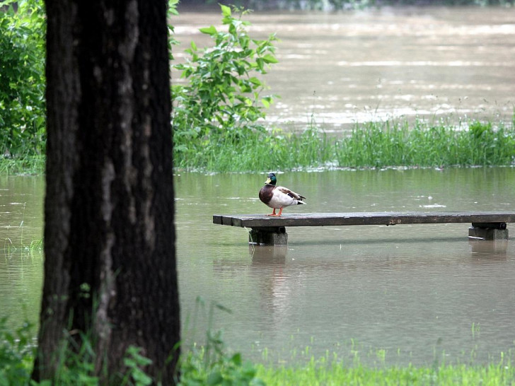 Hochwasser (Archiv)
