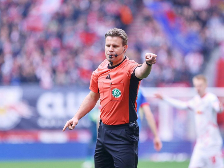 Felix Brych (Archiv)