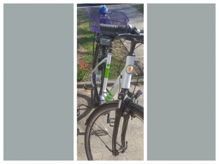 Foto des entwendeten E-Bikes.