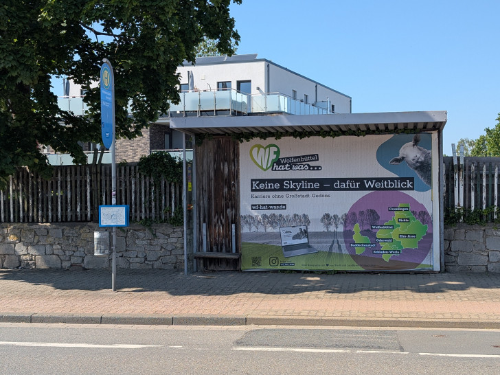 "Keine Skyline - dafür Weitblick" - eine neue Kampagne soll für das Arbeiten und Leben im Landkreis Wolfenbüttel werben.
