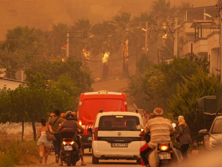 Waldbrände wüten in Izmir Ende Juni 2025