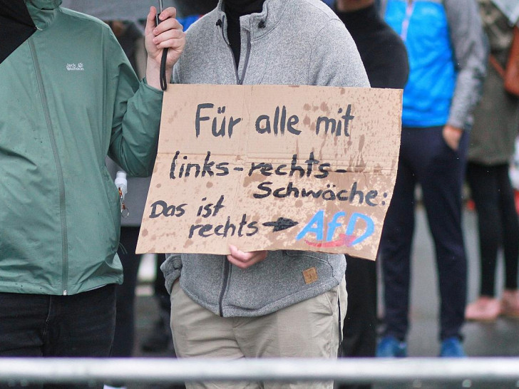 Protest gegen die AfD (Archiv)