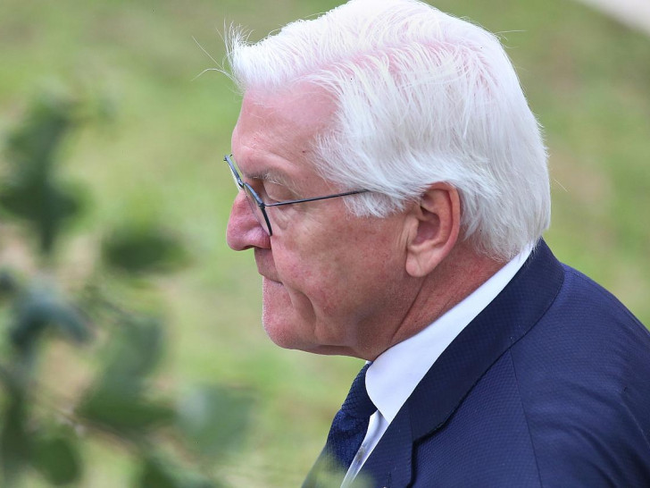Frank-Walter Steinmeier (Archiv)